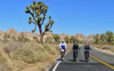 Bike-and-Barge Bike tours