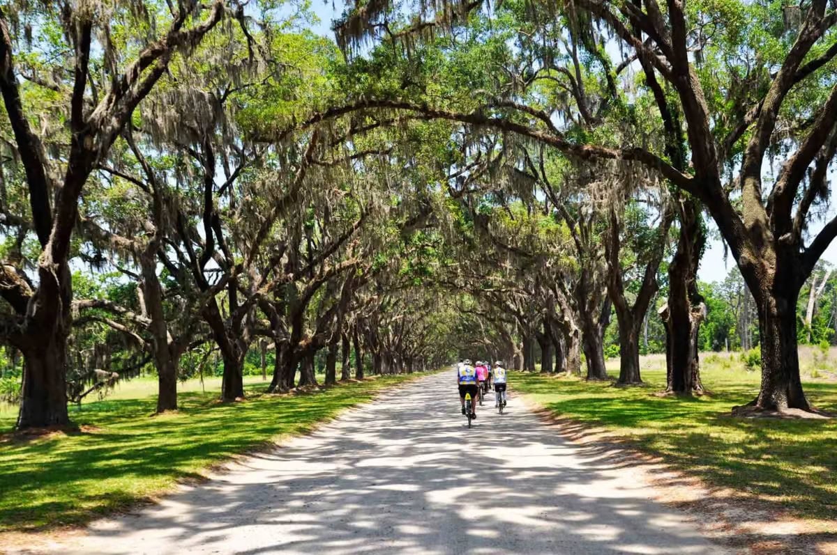Savannah-to-Charleston-Bike-Tour