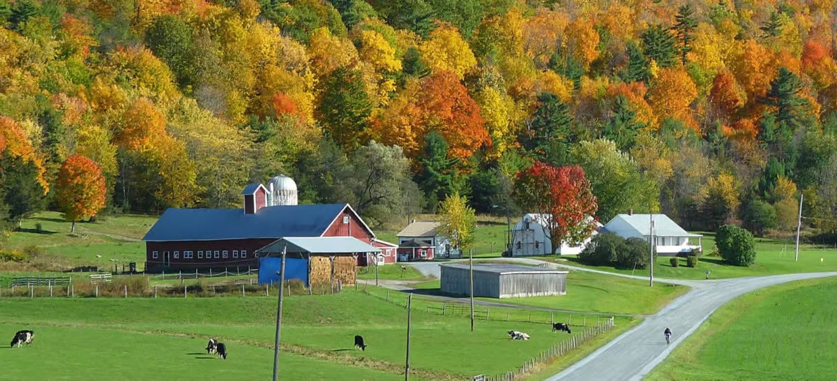 Vermont Fall Foliage